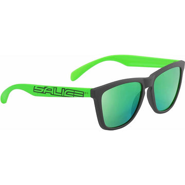 Herrensonnenbrille Salice 3047