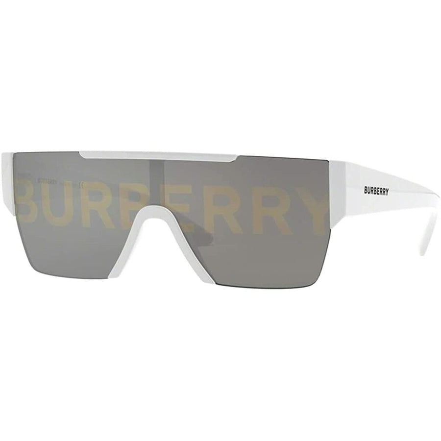 Men's sunglasses Burberry BE 4291