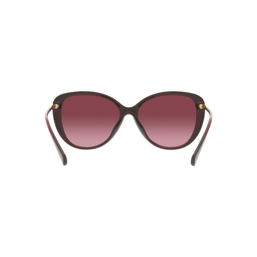 Women's sunglasses Ralph Lauren RA 5288U