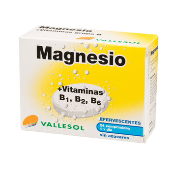 Magnesium Vallesol (24 uds)