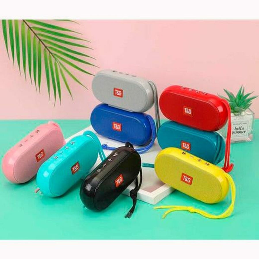 Portable speakers T&G Rainbow