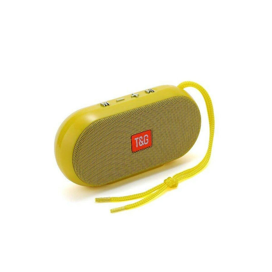 Portable speakers T&G Rainbow