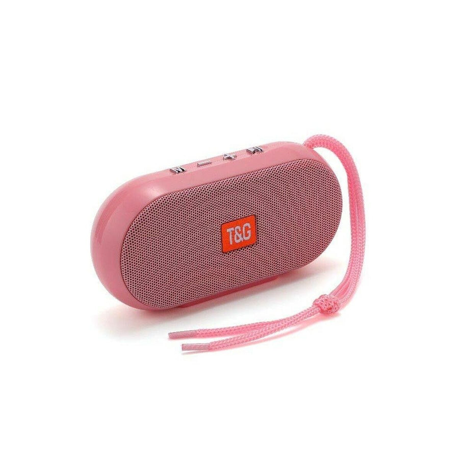 Portable speakers T&G Rainbow